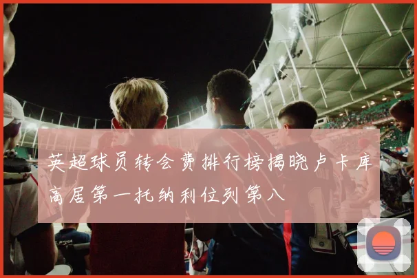 英超球员转会费排行榜揭晓卢卡库高居第一托纳利位列第八